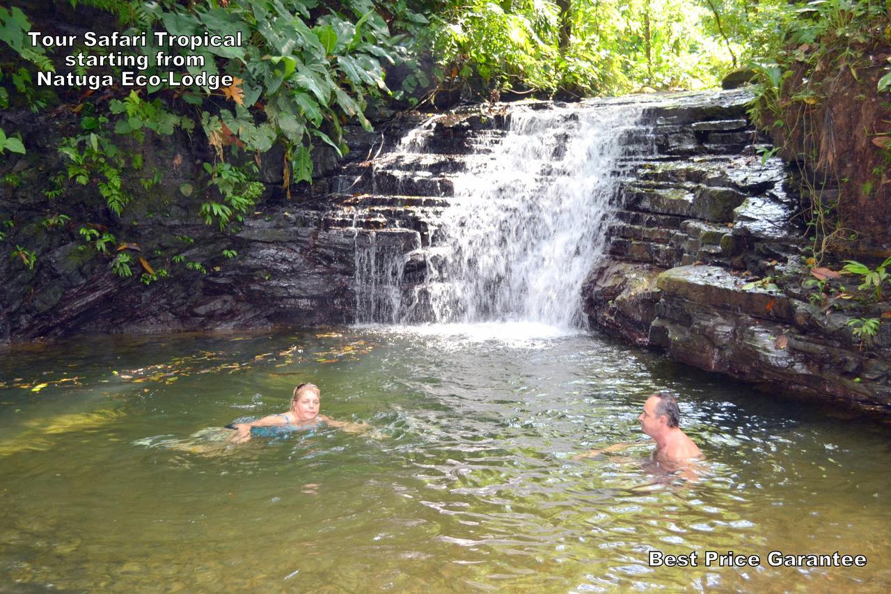 Natuga Ecolodge-Villas Dominical Baru Eksteriør bilde